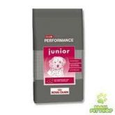 Ração royal canin performance JR