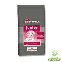 Ração royal canin performance JR