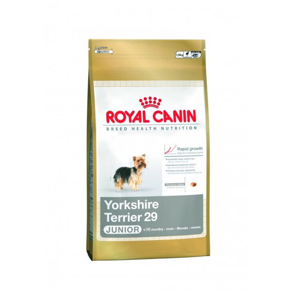 ração royal canin yorkshire terrier JR